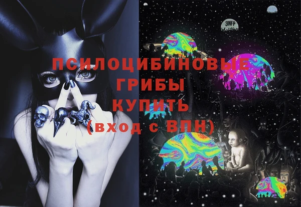спиды Абаза