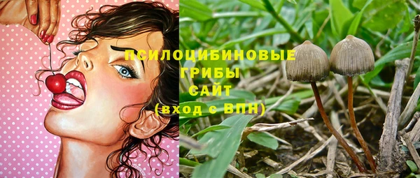 первитин Алексеевка